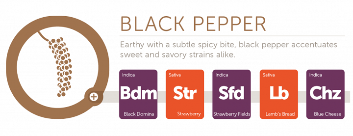 black-pepper2x