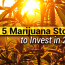 top marijuana stocks